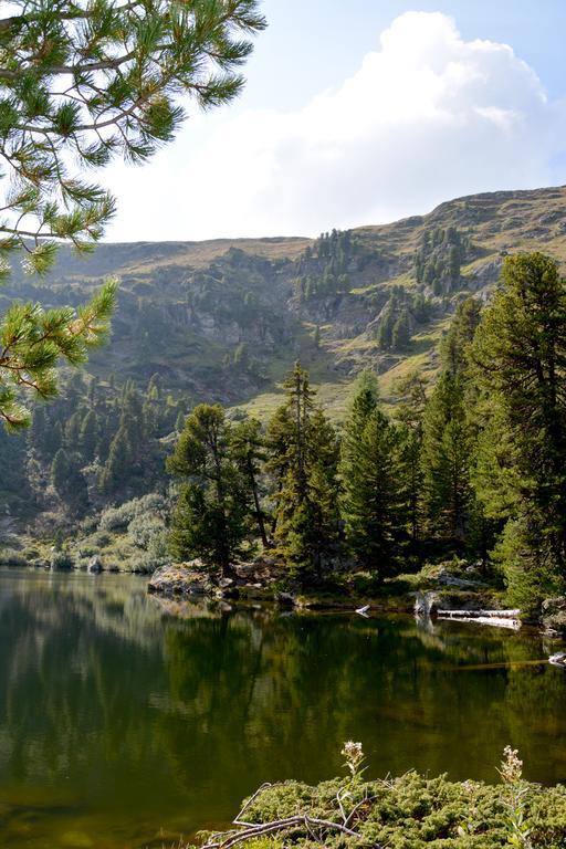 Haus Ofner Am Kreischberg Bed & Breakfast Sankt Georgen ob Murau Bagian luar foto