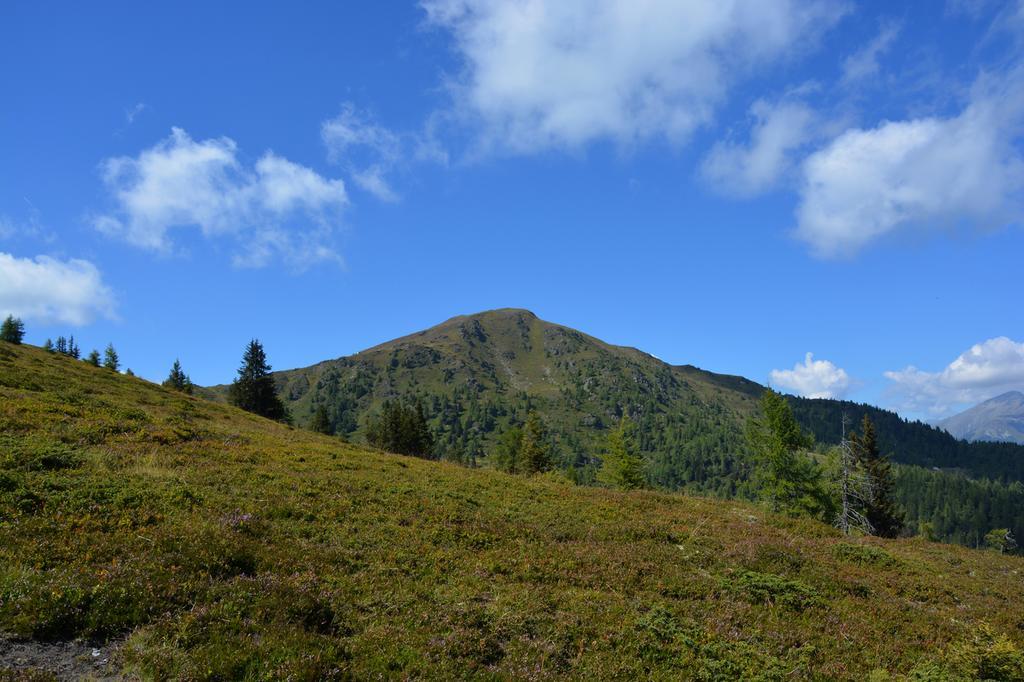 Haus Ofner Am Kreischberg Bed & Breakfast Sankt Georgen ob Murau Bagian luar foto